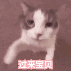 640 (2).gif
